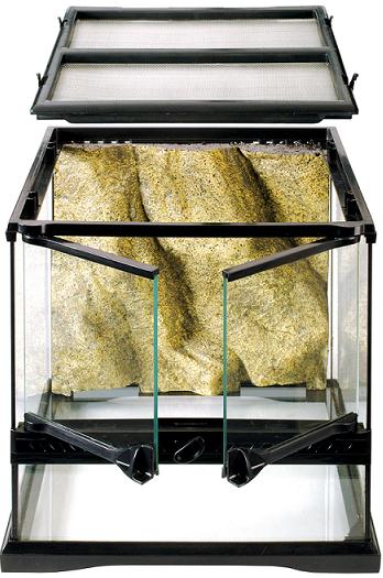 terrarium